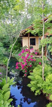 Foto - Ferienhaus-Molle Burg im Spreewald, Natur pur !