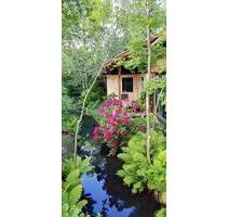 Ferienhaus-Molle Burg im Spreewald, Natur pur ! - Burg (Spreewald)