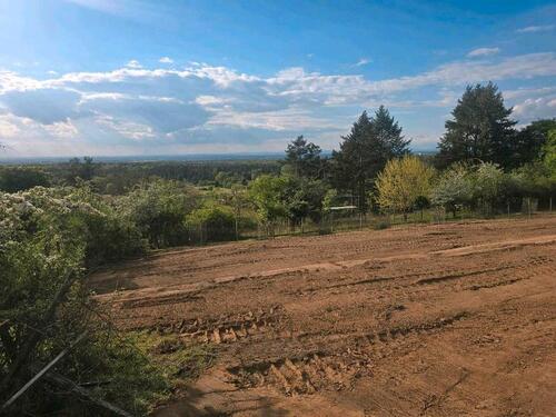 Foto - Gärten bei Seeheim mit Weitblick