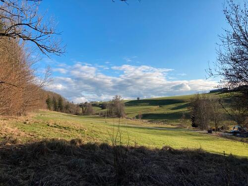 Foto - 5 Zimmer Einfamilienhaus in Bad Wurzach