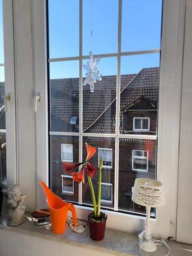 Foto - Etagenwohnung in Emden zur Miete