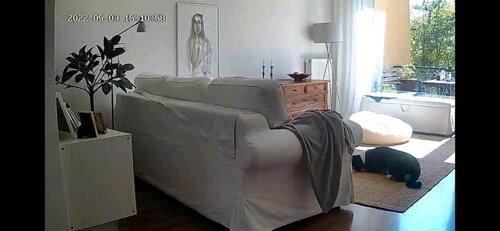Foto - 3 Zimmer Wohnung - 800,00 EUR Kaltmiete,