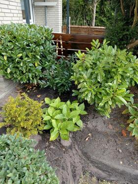 Foto - 2 Zimmer Etagenwohnung in Bad Iburg