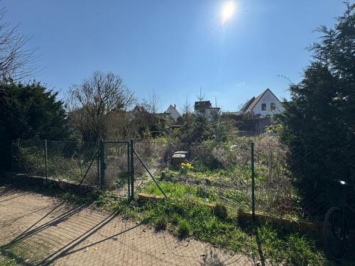 Foto - Garten in Nierstein - zentrale Lage