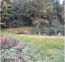 Weiher Grundstück - 849,00 EUR Kaltmiete, ca.  0,00 m² in Zell (PLZ: 93199)