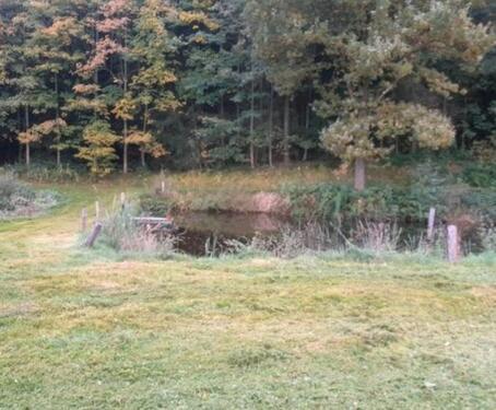 Foto - Grundstück in Zell zur Miete