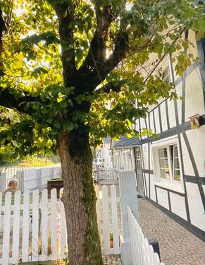 Foto - Etagenwohnung in Ruppichteroth