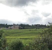 2 Zimmerwohnung Rüdesheim - 970,00&nbsp;EUR Kaltmiete, ca.&nbsp; 80,00&nbsp;m&sup2; in Geisenheim (PLZ: 65366)