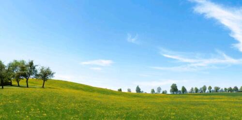 Foto - Grünland bei Trulben - 1.000,00&nbsp;EUR Kaltmiete, ca.&nbsp; 0,00&nbsp;m&sup2;