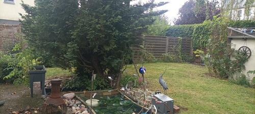 Foto - älteres Haus wartet auf Ihre Ideen