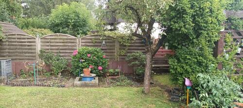 Foto - 2 Zimmer Einfamilienhaus zum Kaufen in Berlin