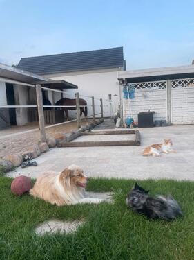 Foto - 4 Zimmer Einfamilienhaus in Velten