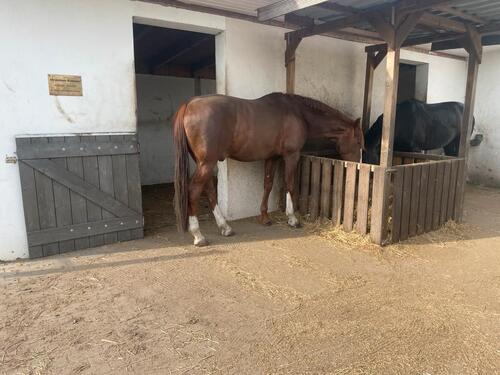 Foto - Einfamilienhaus in Velten zum Kaufen