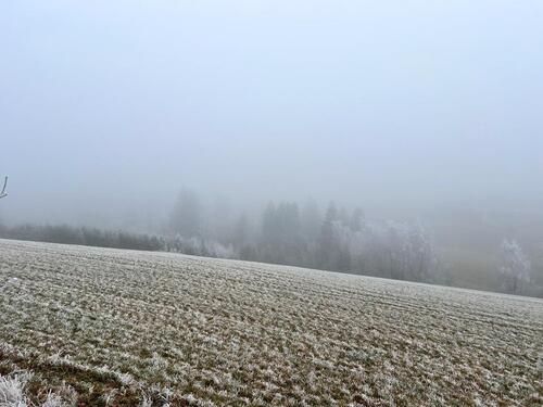 Foto - Stellplatz Halle - 100,00&nbsp;EUR Miete,