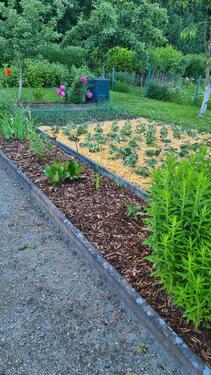 Foto - Grundst&uuml;ck in Schwerin zur Miete