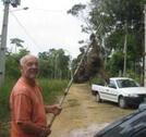 Foto - 