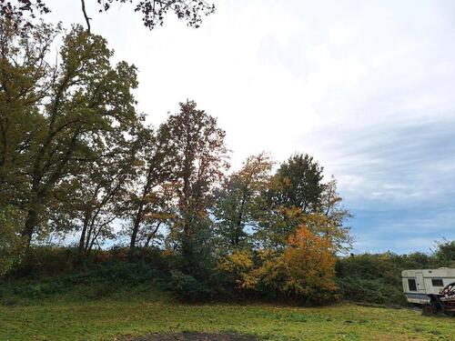 Foto - Außenstellplatz für Fahrzeuge - 40,00 EUR Miete,