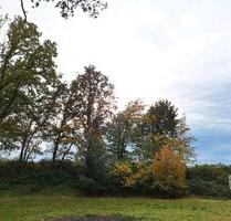 Außenstellplatz für Fahrzeuge - 40,00 EUR Miete, in Xanten (PLZ: 46509)