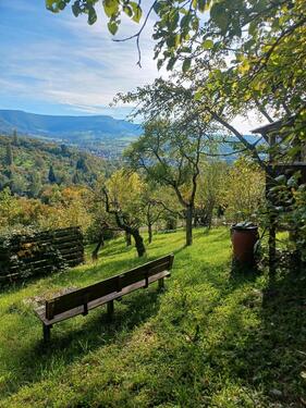 Foto - Obstbaumwiese Weinberg Metzingen nahe NaturfreundehausFalkenberg