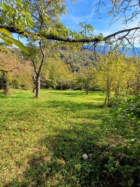 Foto - Grundst&uuml;ck zur Miete in Metzingen