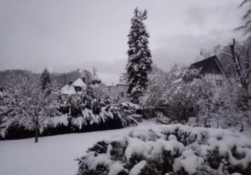 Foto - 1 Zimmer Etagenwohnung zur Miete in Bad Harzburg