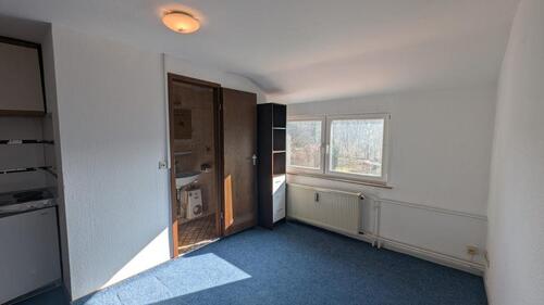 Foto - WohnungApartment1-Zimmer für Monteure o.ä.