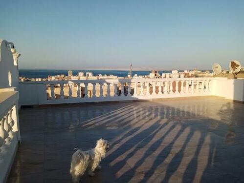 Foto - andere in Stuttgart