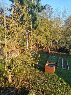 Foto - Einfamilienhaus in Waibstadt zur Miete