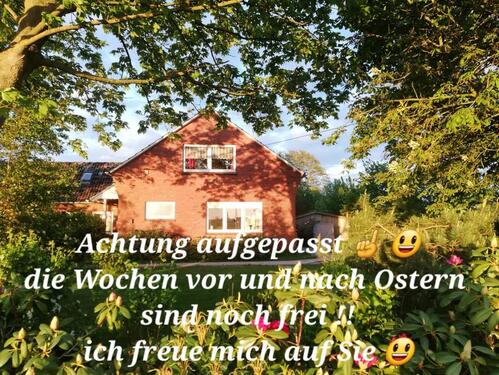 Foto - Ferienhaus Ostfriesland Nordsee Hund, barrierefrei, Monteure