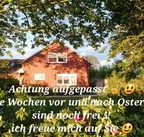 Ferienhaus Ostfriesland Nordsee Hund, barrierefrei, Monteure - Westerholt