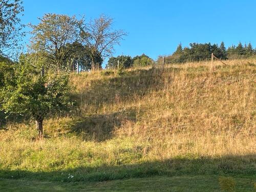 Foto - Einfamilienhaus in Kirchheim zum Kaufen