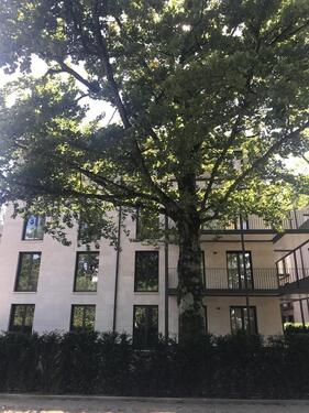 Foto - 3 Zimmer Etagenwohnung zur Miete in Dreieich