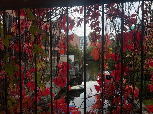 Foto - Wg-Zimmer frei in Schleußig mit Balkon und kanalzugang