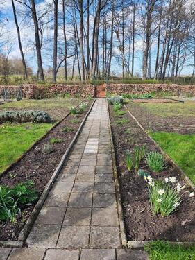 Foto - Grundst&uuml;ck zur Miete in Greifswald