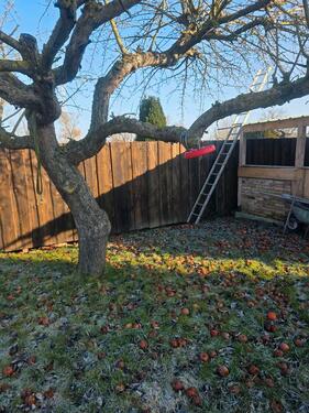Foto - Grundst&uuml;ck zur Miete in Strasburg (Uckermark)