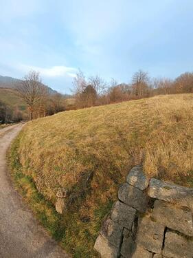 Foto - Kleines Wiesengrundstück zu verpachten