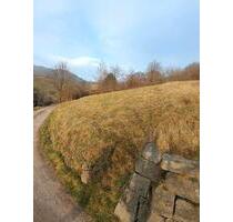 Kleines Wiesengrundstück zu verpachten - Bühlertal