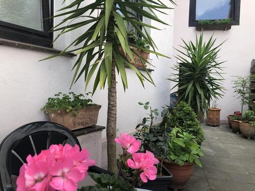 Foto - Maisonettenwohnung in Braunschweig zur Miete