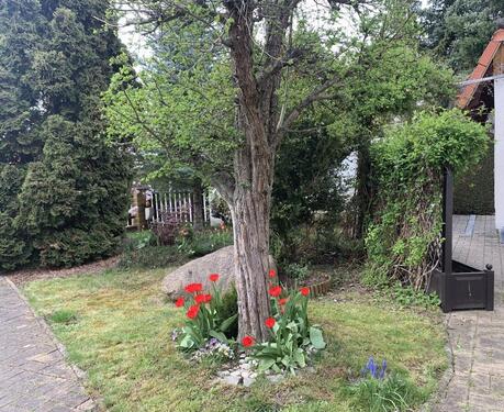 Foto - 5 Zimmer Einfamilienhaus in Halberstadt