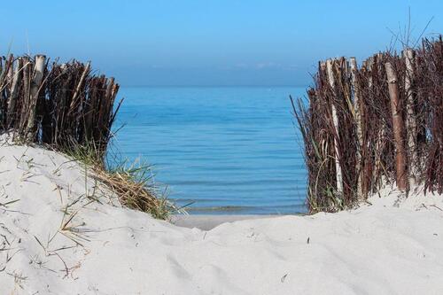 Foto - 