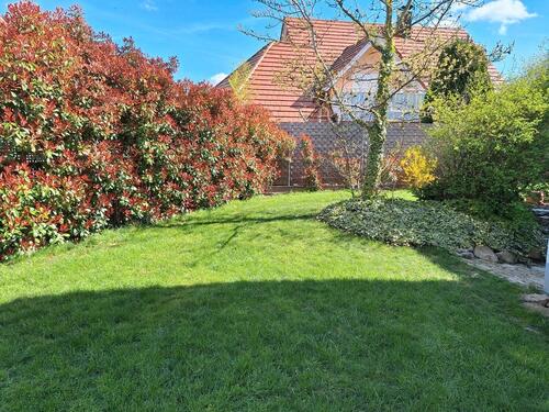 Foto - 5 Zimmer Einfamilienhaus zum Kaufen in Berg (Pfalz)