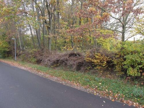 Foto - andere zur Miete in Bad Bibra