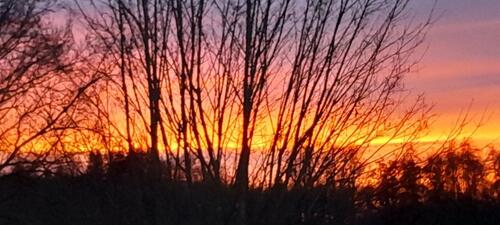 Foto - 2.5 Zimmer Erdgeschoßwohnung zur Miete in Inning am Ammersee