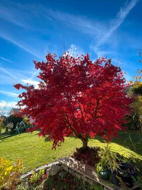 Foto - Exklusives Zweifamilienhaus mit Einliegerwohnung,