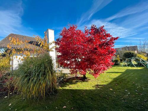 Foto - 10 Zimmer Einfamilienhaus zum Kaufen in Wettstetten