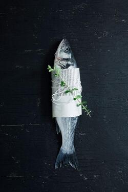 Foto - Restaurant , Gastronomie , Gewerbe