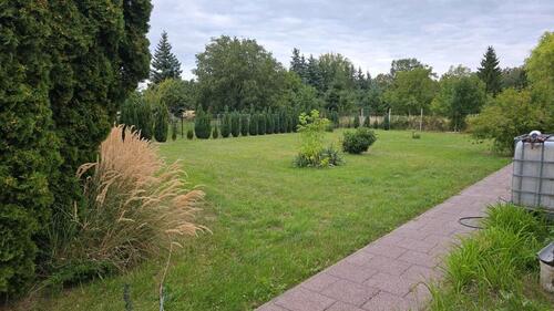 Foto - Einfamilienhaus zum Kaufen in Jessen (Elster)