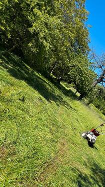 Foto - WiesengrundstückGartenWieseStückle bei Esslingen abzugeben