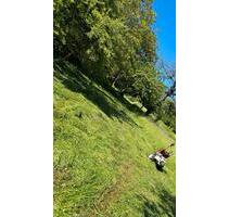 WiesengrundstückGartenWieseStückle bei Esslingen abzugeben - Esslingen am Neckar Oberesslingen