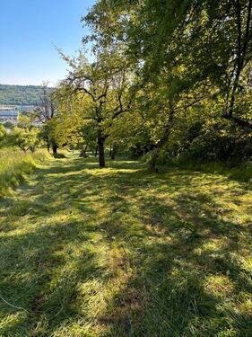 Foto - Grundstück zum Kaufen in Esslingen am Neckar